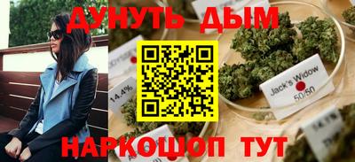 стафф Заводоуковск