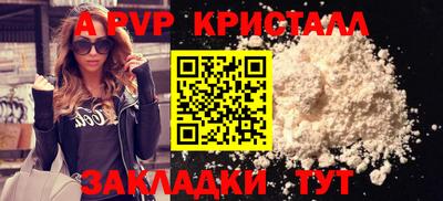 стафф Заводоуковск