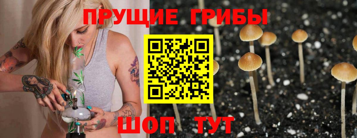 Псилоцибиновые грибы прущие грибы  Вход с VPN  Кызыл 